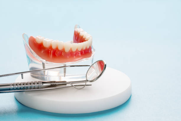 Best Preventive Dentistry  in Lakeland North, WA